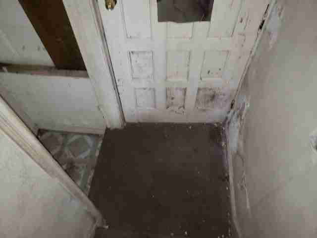 Testing again(45).jpg